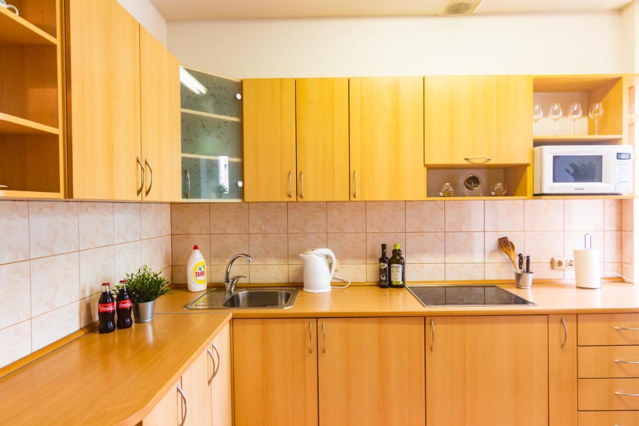 Classic Style Apartment In The Center Of 里加 外观 照片
